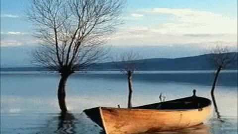 BEN SENİ ÖYLE SEVDİM