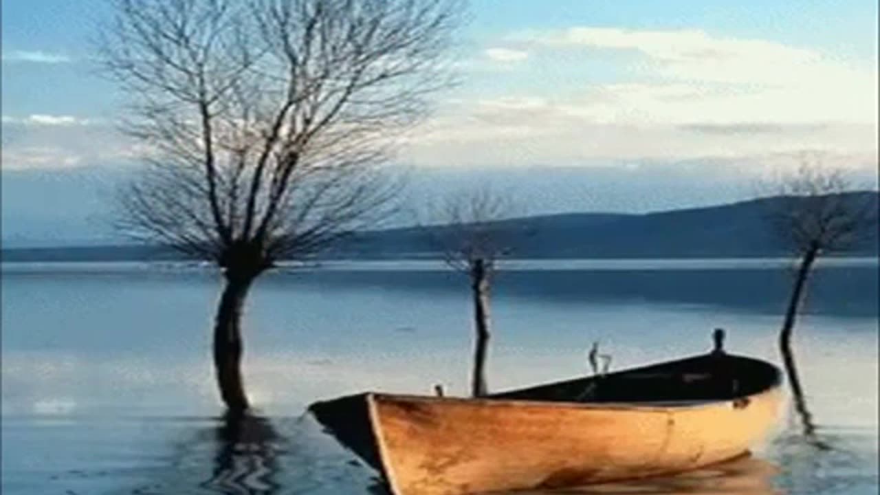 BEN SENİ ÖYLE SEVDİM