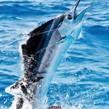 🙀 The World's 10 Fastest Animals