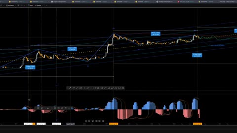 Dogecoin & Bitcoin Macro Observations