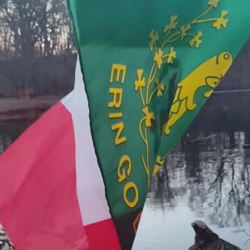 GRACIAS Batallón de San Patricio por luchar por México 🇲🇽.