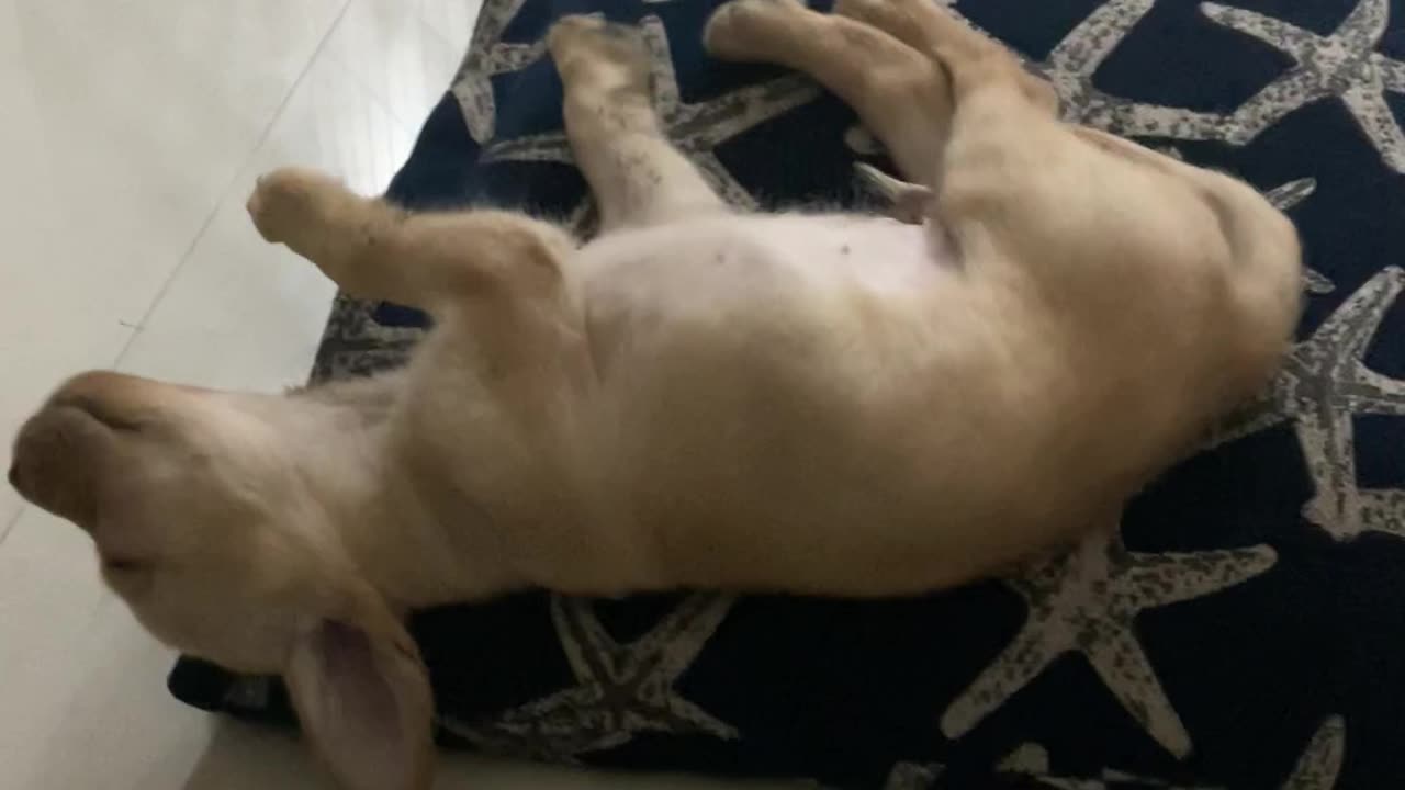 Sleeping or slipping ?????