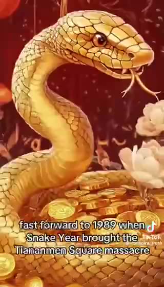 Chinese New Year 29 Jan 2025 - Year of the Snake