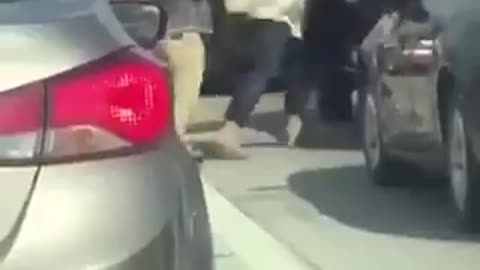 Road rage fight