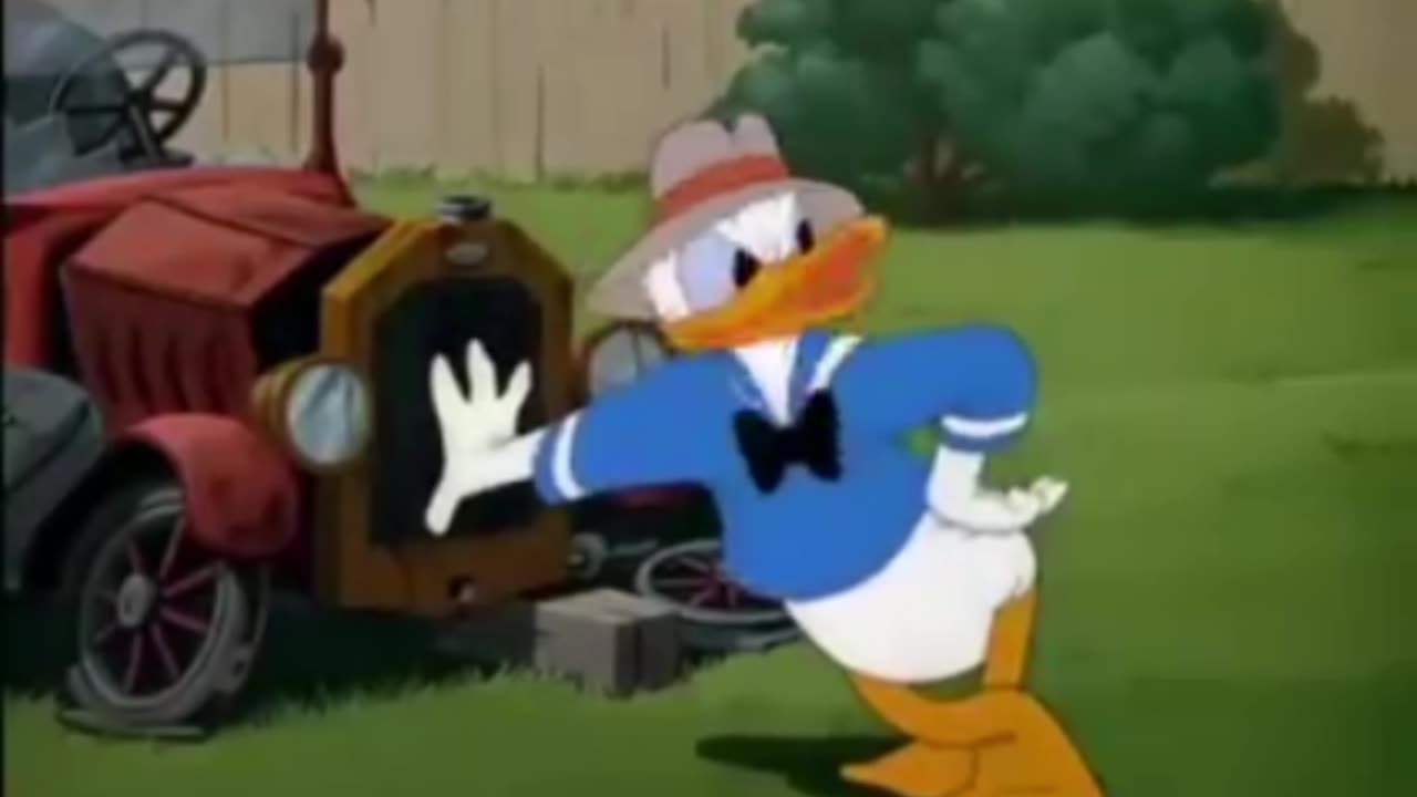 Honey bee & duck