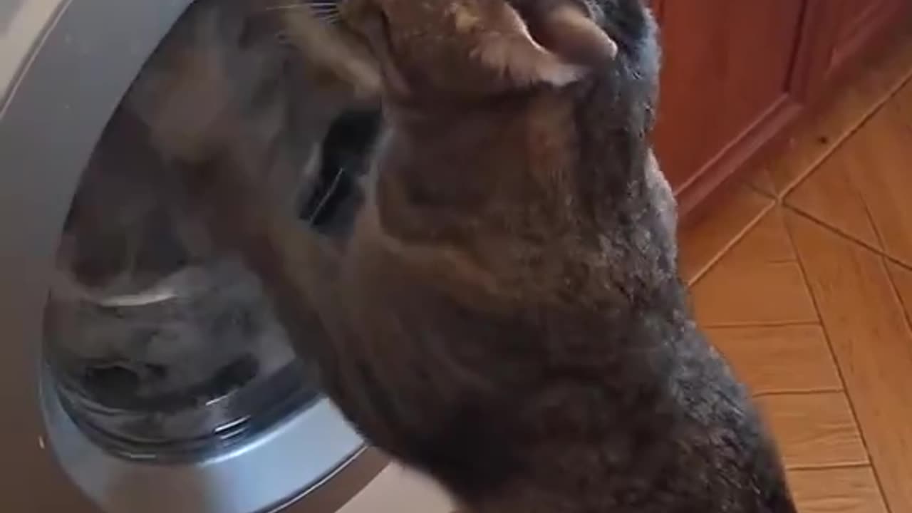 bro's got rent to pay