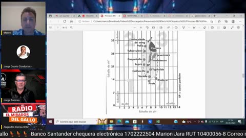 Los virus patógenos no existen - 4