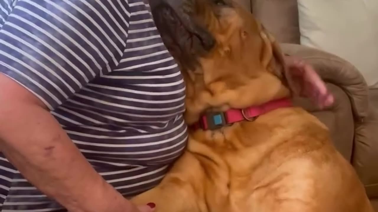 Mom and best son😍🥰❤️