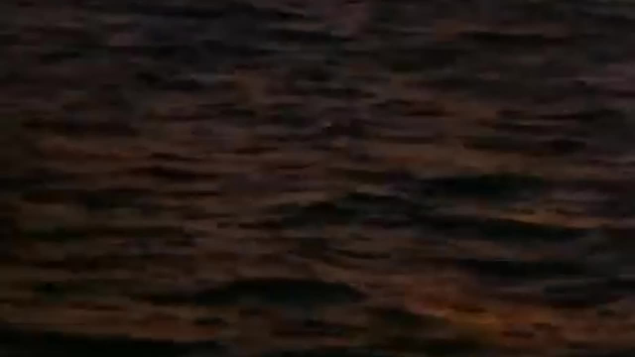 Jaws The Revenge【1987 film】Trailers