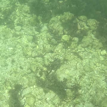 Any Day Snorkeling Is A Good Day!!