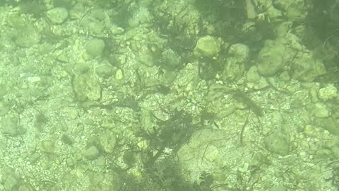 Any Day Snorkeling Is A Good Day!!