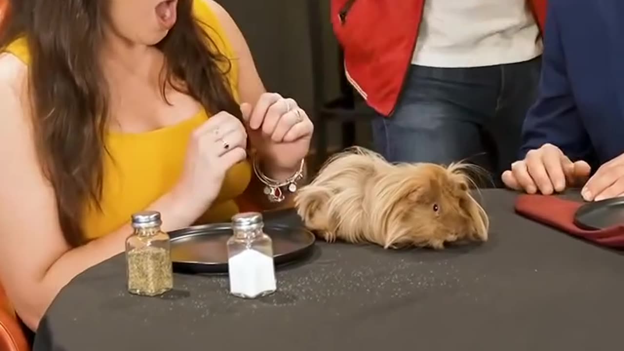 #World best magic# magic video# best magic # american magic# plz watch and follow