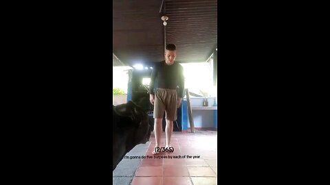 5 burpees más cada día del año