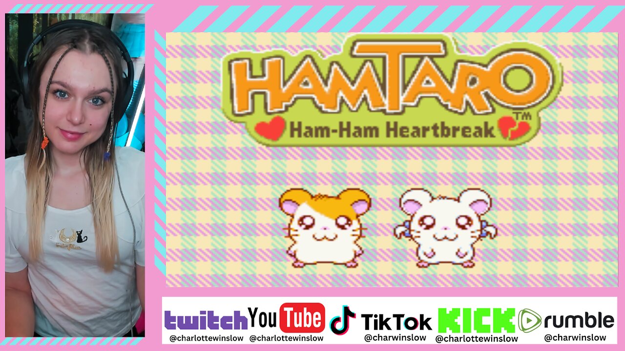 Hamtaro Ham Ham Heartbreak! Voice Acting - WILDWOODS