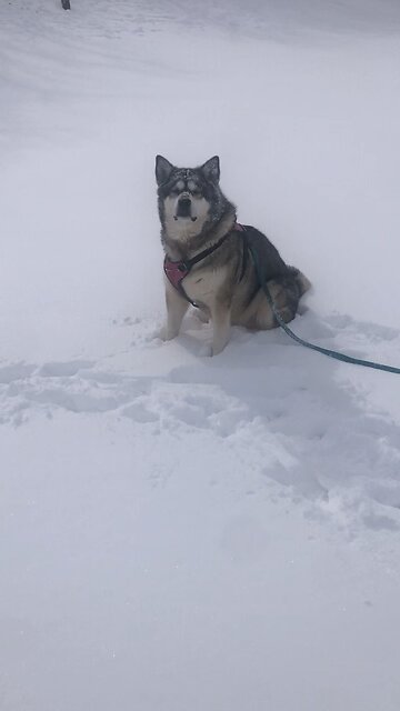 Thursday February 20, Lord, sustain me as you promised.