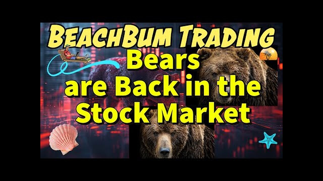 Bears are Back in the Stock Market