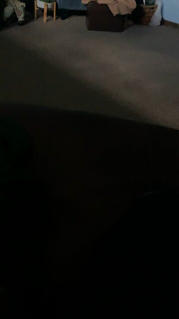 I did a little trolling