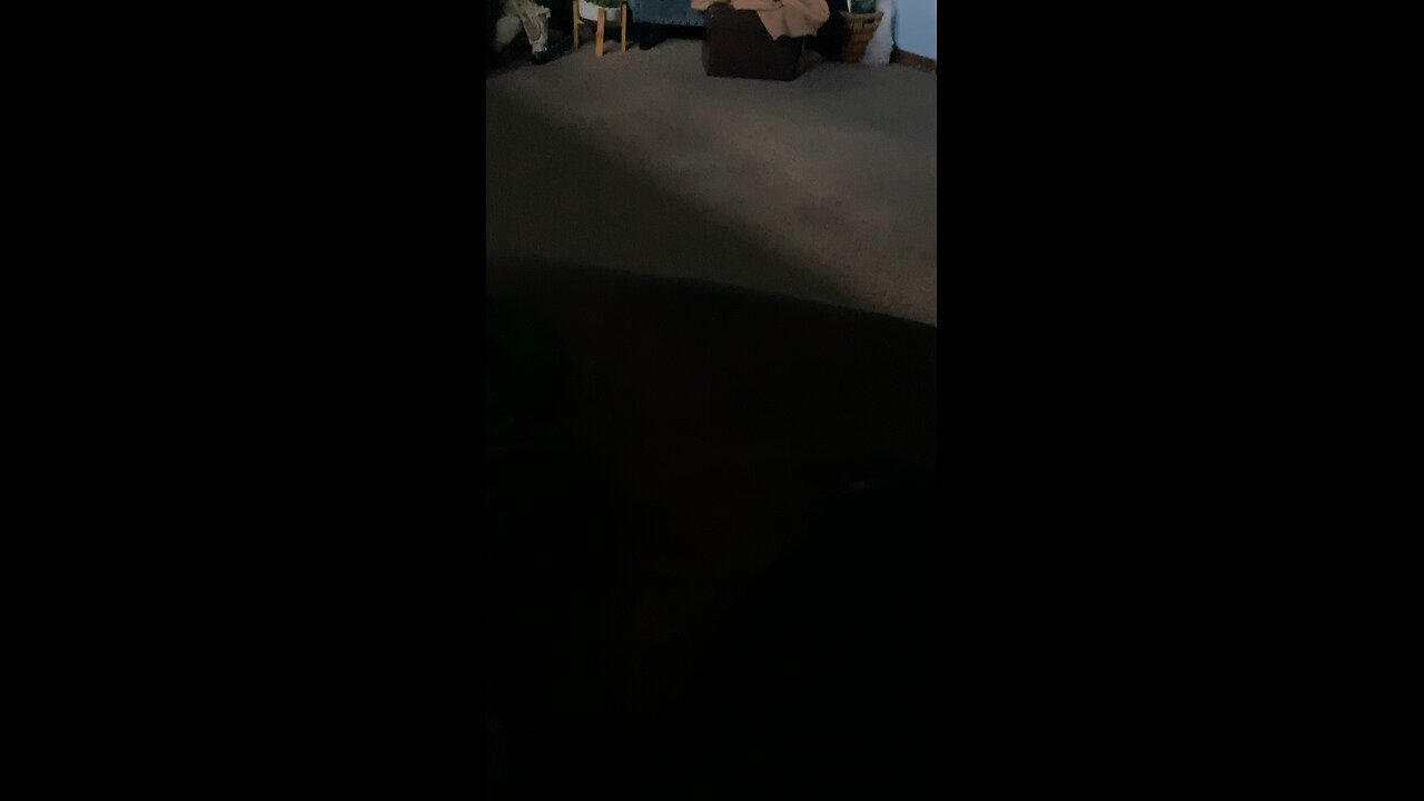 I did a little trolling
