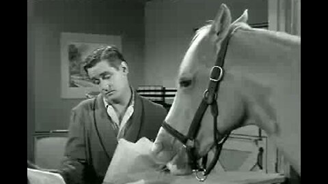 Mister Ed~Wilbur Gets The Message