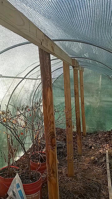 reinforcing center of greenhouse