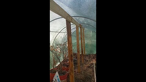 reinforcing center of greenhouse