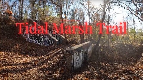 Tidal Marsh Trail: Part 1