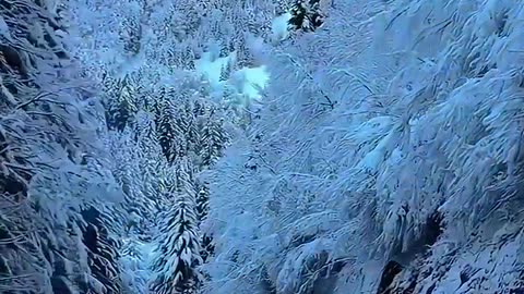 Beautiful world