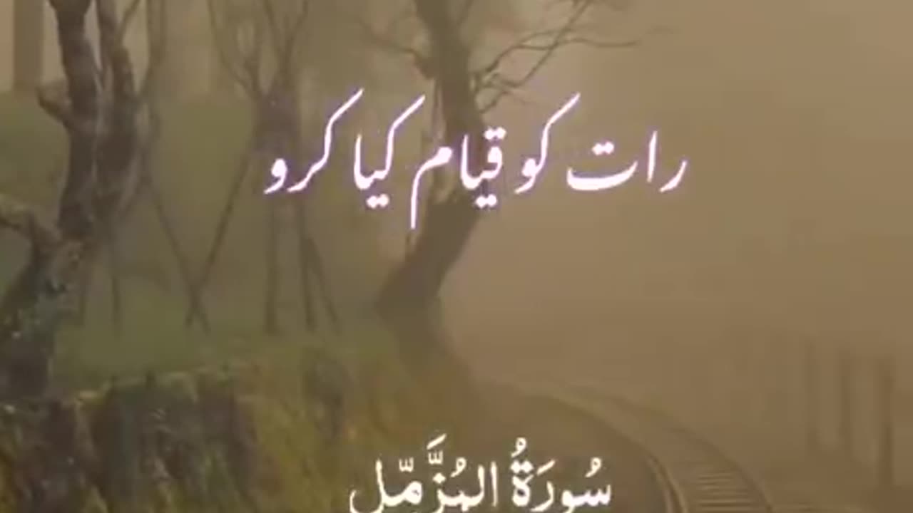 Beshak 💯