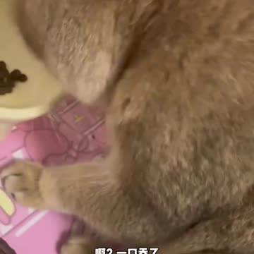 Wants his cake and eat it too 🤣