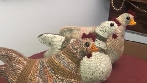 "The Emotional Support Chicken" - The Knitting Tree, LA - The Texas Boys