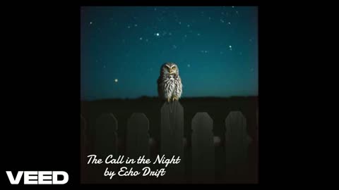 The Call in the Night by Echo Drift