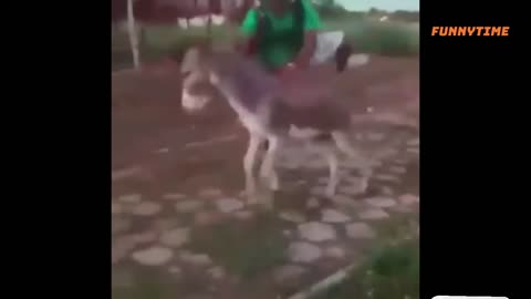 Try Not To Laugh 🤣🤣 Funny Fail Video Compilation