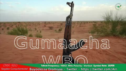 Gabaasa Gumaacha ONM-ABO Guraandhala 17-2025 itti dhiyaadhaa!