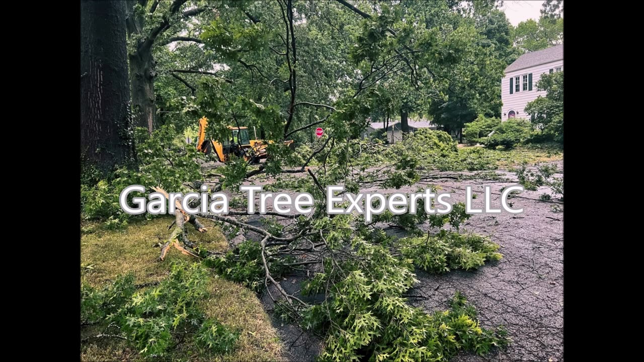 Garcia Tree Experts LLC