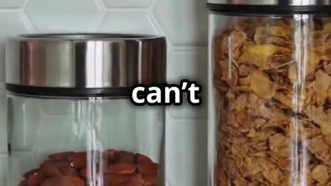 3 Simple Hacks to Keep Bugs Out of Your Food Storage! 🛡️🍞
