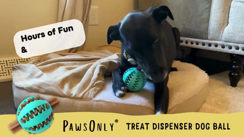 PawsOnly Treat Dispenser Dog Toy Ball – Interactive Puzzle for Small Dogs