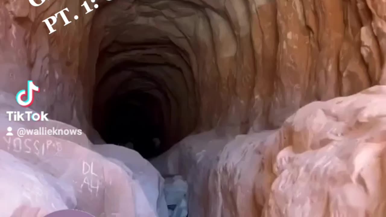 Geology=Biology Part 1 Giant organs