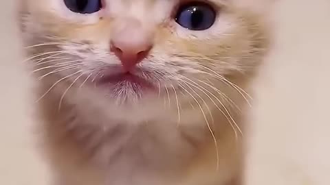 خوشکل
