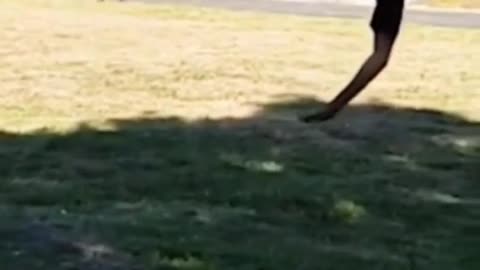 Funny Cute Fail Animal Epic Fail 9