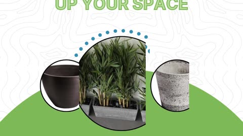 Install Stylish Modern Planters to Brighten Up Your Space