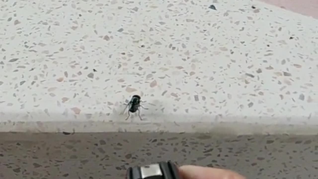 Video 25