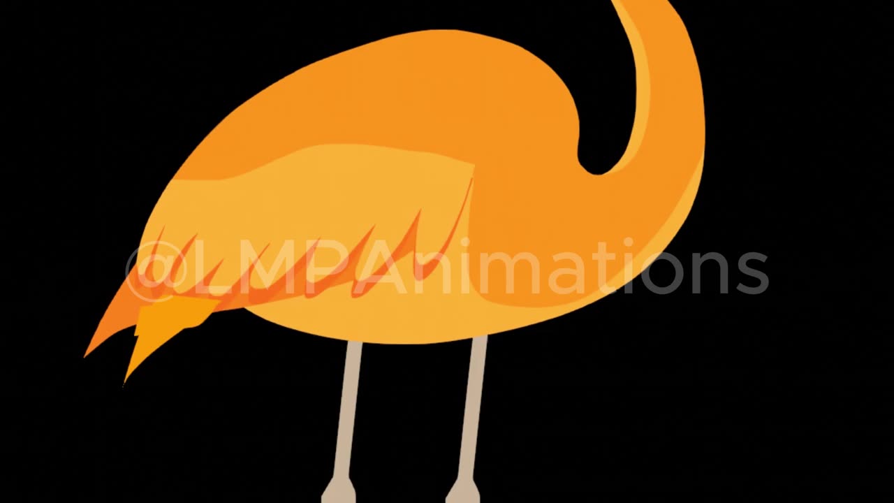 Did you Know this ? #3 | Why Are Flamingos Actually WHITE Birds That Turn Pink or Orange?