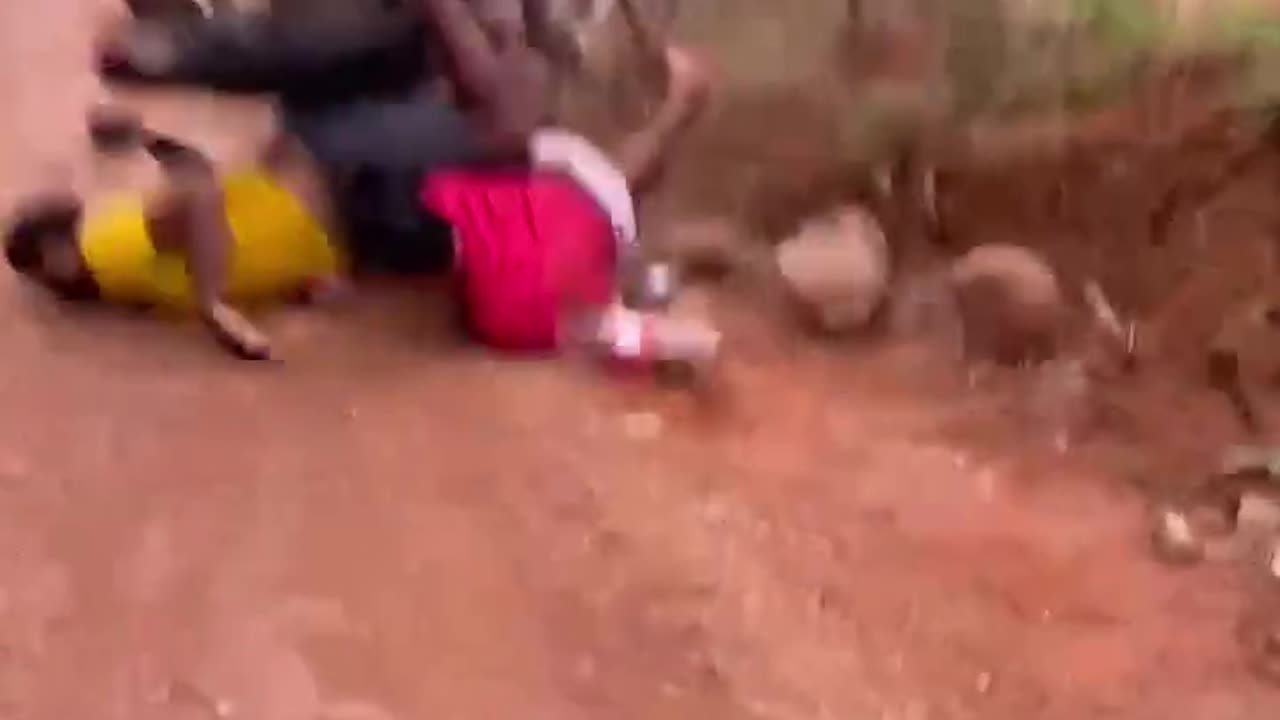 Top 🔝 Funny Video 📸