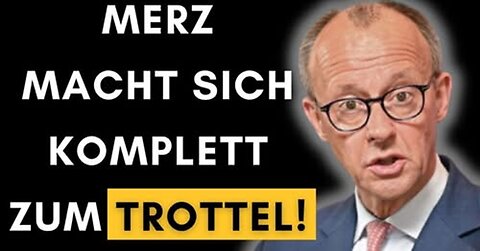 Blackrock CDU Merz gibt AfD-Wählern Schuld an schwarz-grüner Koalition!