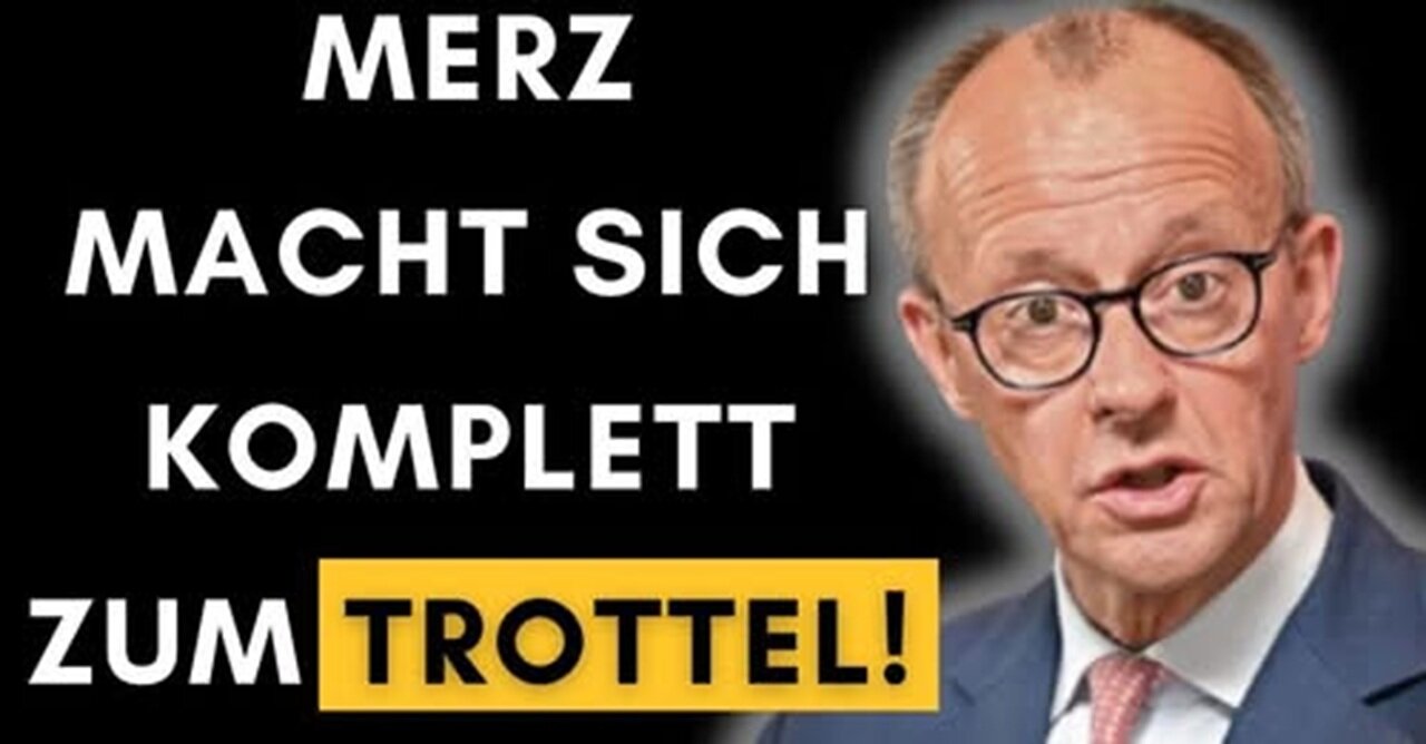 Blackrock CDU Merz gibt AfD-Wählern Schuld an schwarz-grüner Koalition!