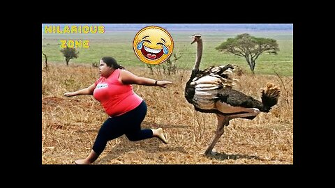 Funny & Hilarious People Life 😆 #136 | TRY NOT TO LAUGH 😂😁😆 | Instant Regret Fails Compilation 2025