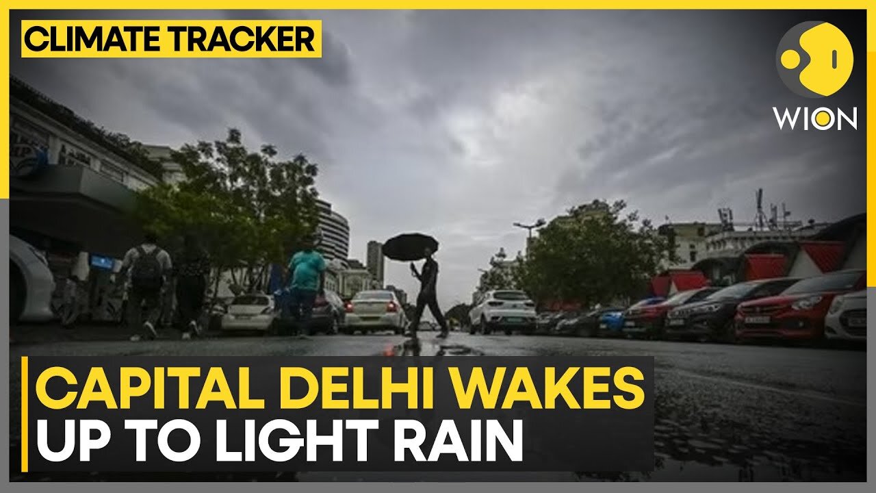 IMD Predicts Thunderstorms Throughout The Day | World News | WION Climate Tracker