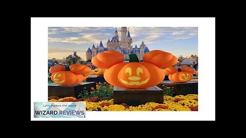 Custom Cartoon Halloween King Pumpkin Cat Miniature Fashion Play Creative Decorative Gift Review