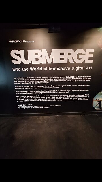 Artechouse Immersive Theater Experience #artechouse #nyc