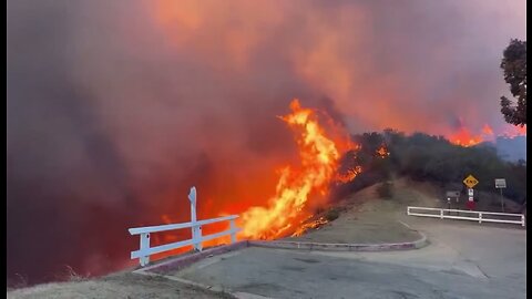 Live - Breaking - Palisades California Fire Coverage